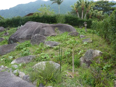 sora-mame