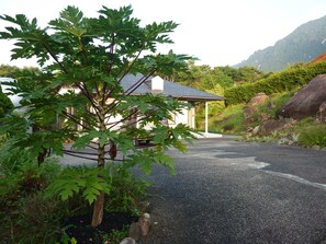 Exterior - sora-mame (Yakushima)