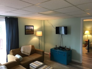 TV - Room in Penn State area (State College)