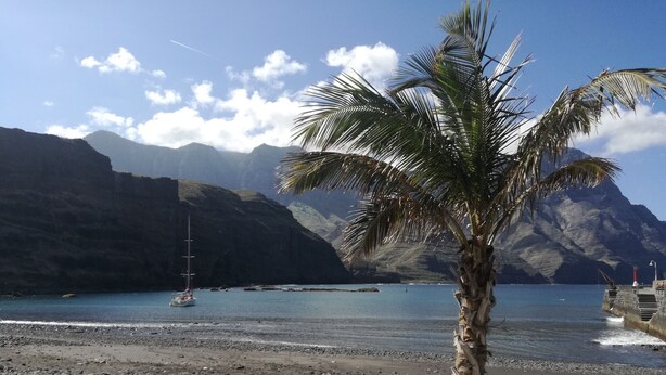 Ein Strand mit einer Palme, felsigem Ufer und einem Segelboot in der Ferne.
