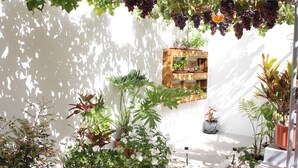 Ein sonniger Garten mit Weinreben, Topfpflanzen und einer Holzkiste an einer weißen Wand.