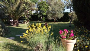 Um jardim com diversas plantas e flores, incluindo flores amarelas e rosa, e uma grande árvore ao fundo.