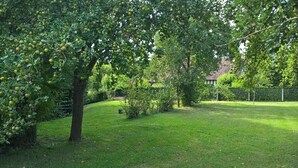 A lush garden with apple trees and a well-maintained lawn.