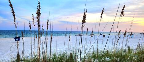 Vlak bij het strand, ligstoelen