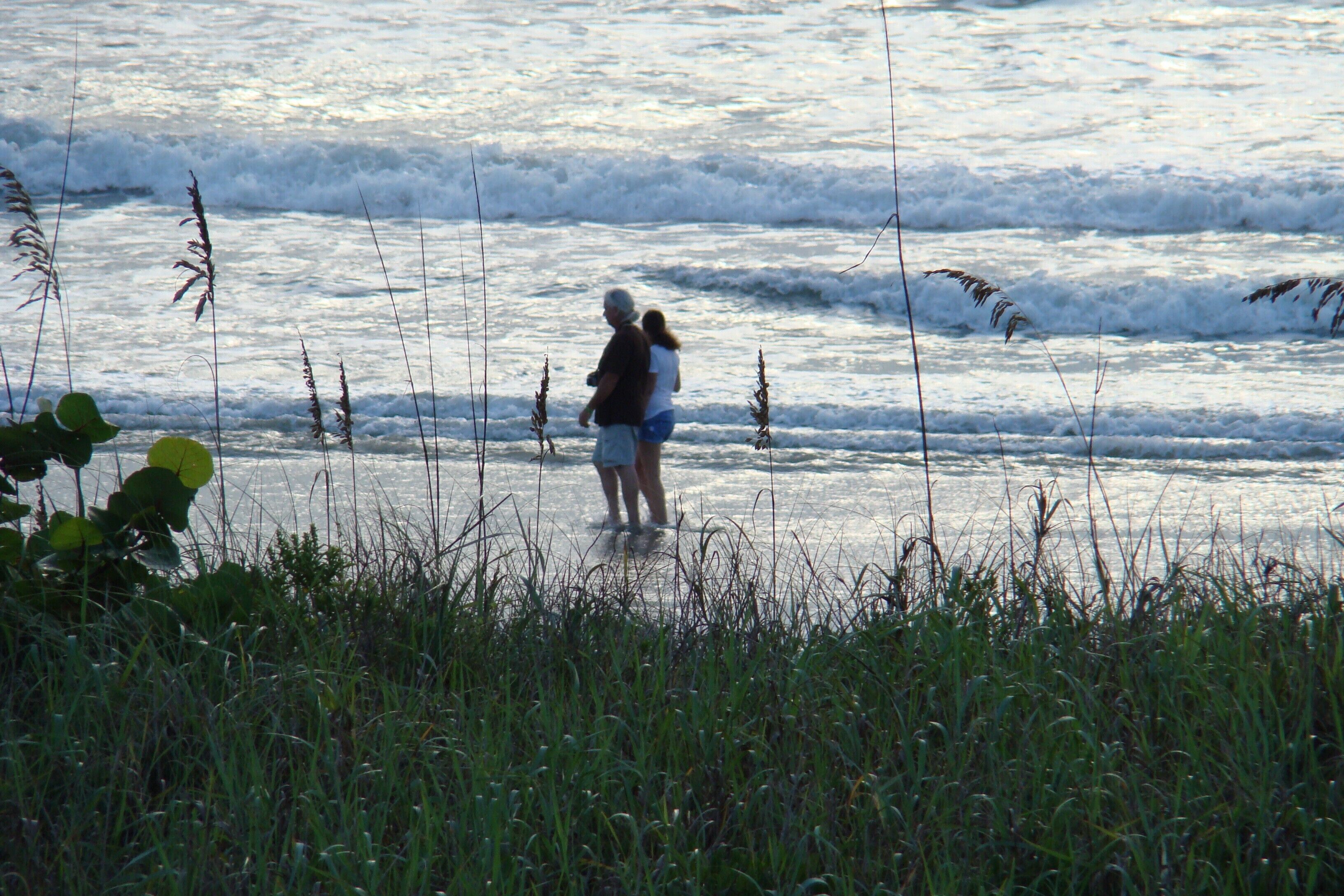 Escena de playa con olas y hierba alta en primer plano.