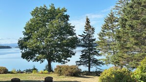 Eine friedliche Uferlandschaft mit zwei Adirondack-Stühlen und einem kleinen Tisch, umgeben von üppiger Vegetation und hohen Bäumen.
