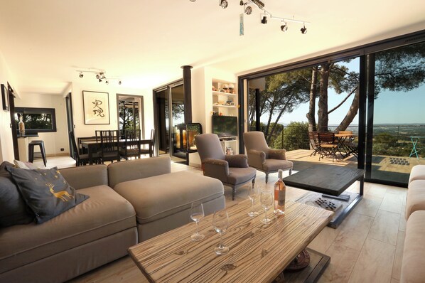 TV, fireplace, video games, DVD player