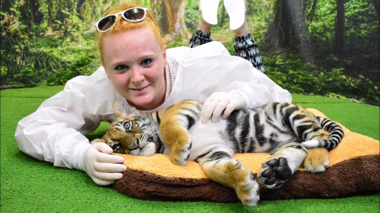 A person lying on a green surface with a tiger and a kitten.
