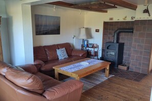 TV, fireplace, books