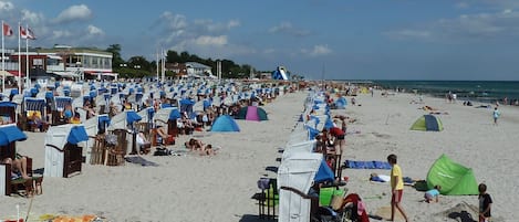 Beach nearby, sun loungers