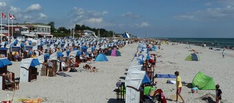 Ferie med en hund i et sommerhus med en indhegnet have ved Østersøen