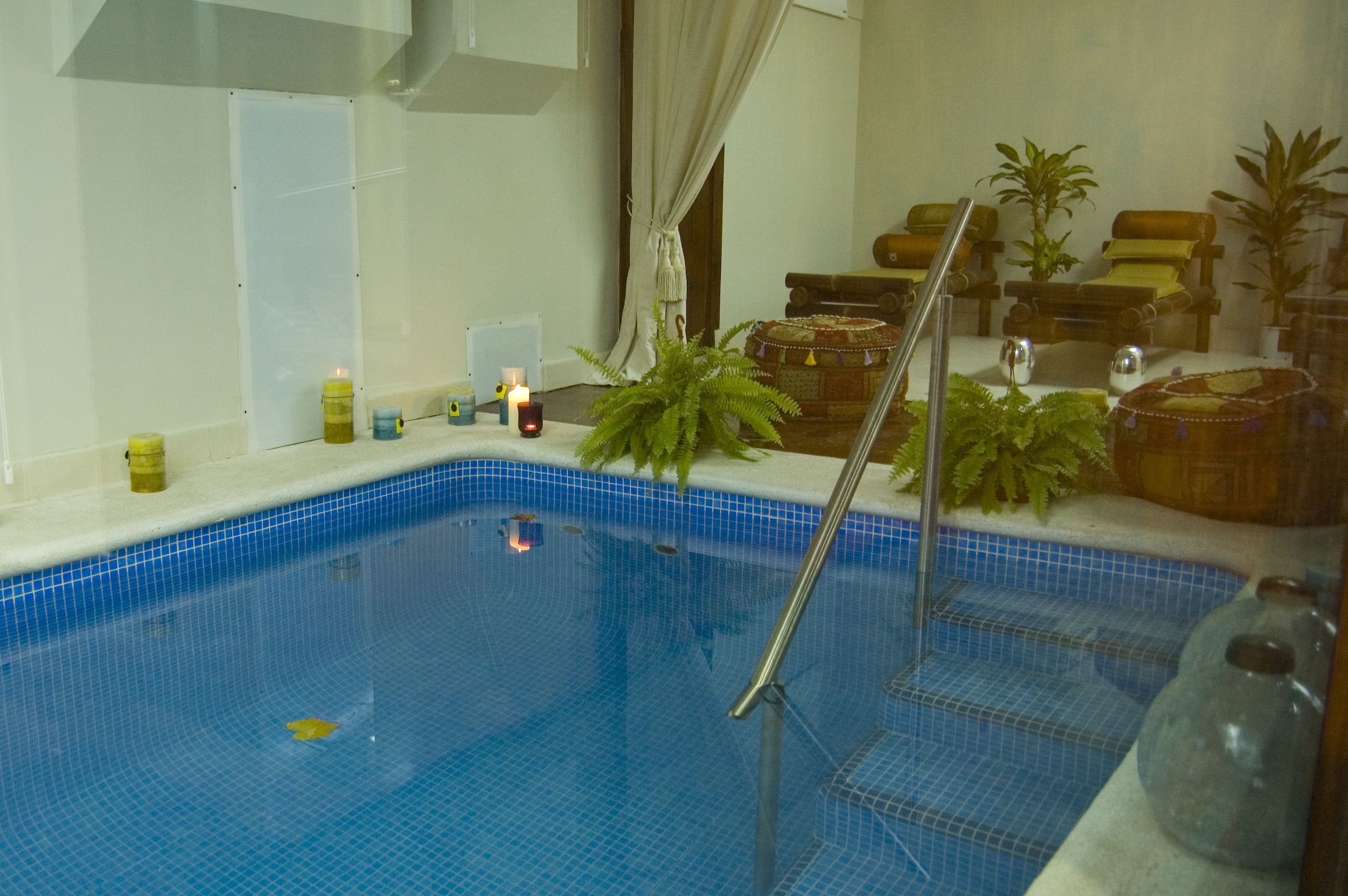 Una piscina con borde de azulejos, una escalera metálica y algunas plantas en macetas.