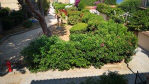 Una calle residencial con un camino pavimentado, abundante vegetación y vista al mar.