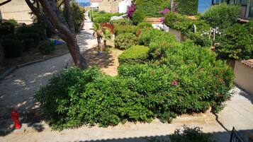 Àrea exterior de l'allotjament