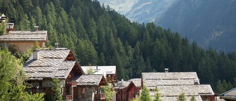 A mountain village with traditional wooden houses, a stone building, and a forested backdrop.