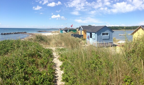 Plage, chaises longues