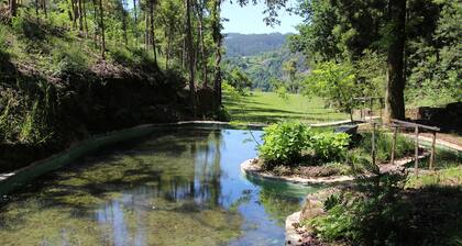 Villa Maria Adelina, 10 minutes from Porto, with a private natural water pool.