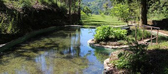 Villa Maria Adelina, 10 minutes from Porto, with a private natural water pool.
