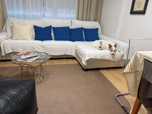 Smart TV, chimenea, reproductor de DVD y libros 