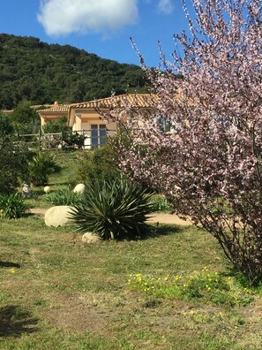 Terrein van de accommodatie