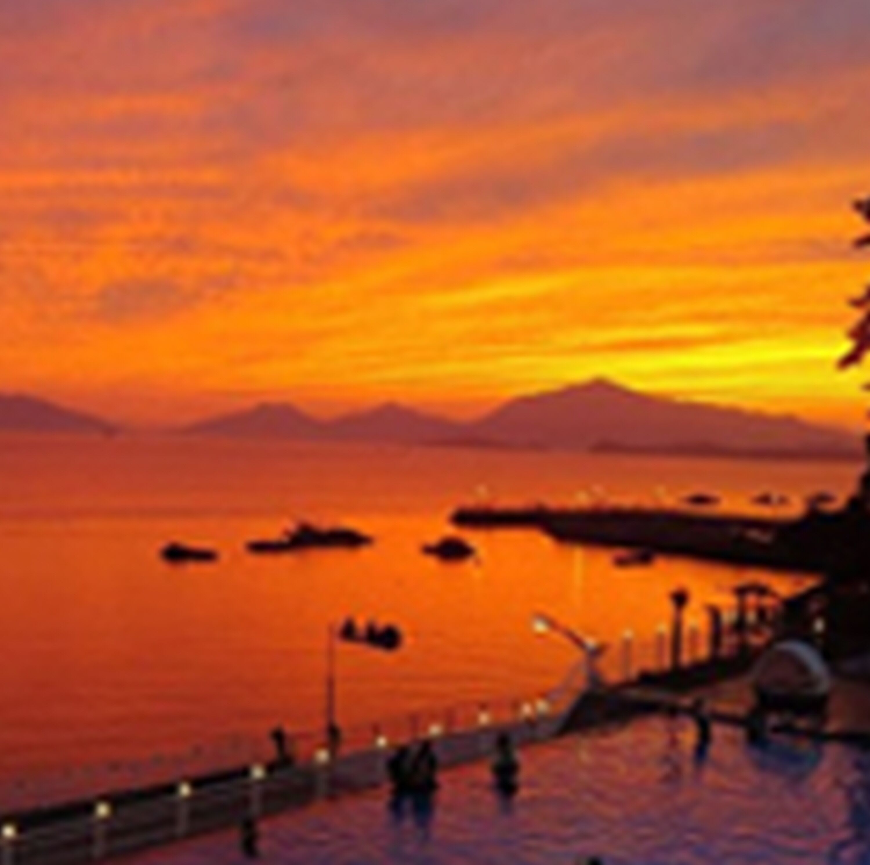 Front of property - evening/night