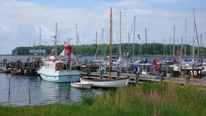 En lysthavn med forskellige både, et skilt der står "Fischereihafen", og en græsplæne i forgrunden.