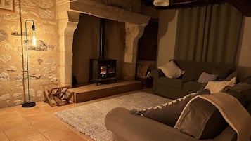 Télévision, cheminée, jeux vidéo, lecteur de DVD