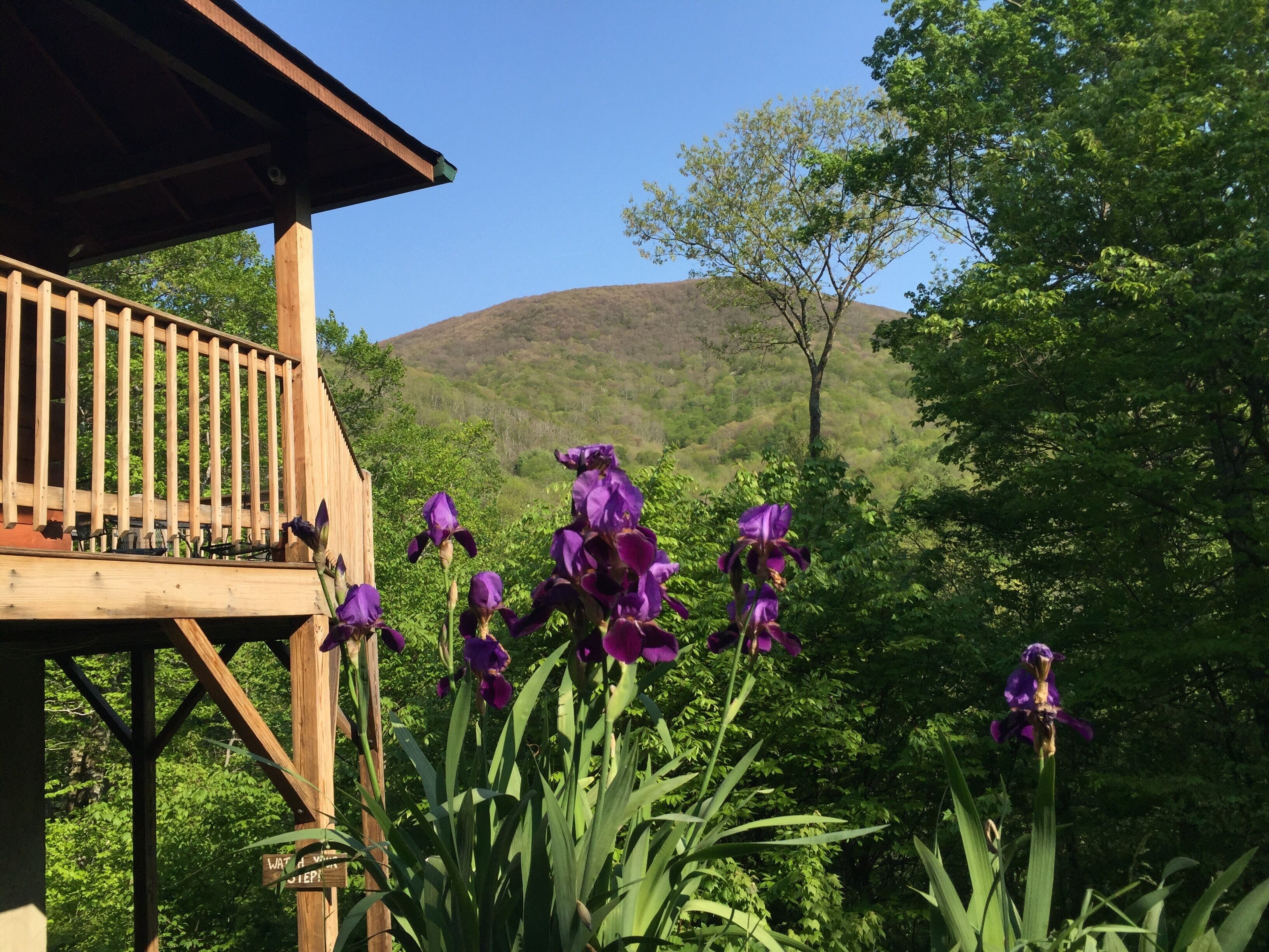 Boone Nc Log Cabin Hot tub - Pet Friendly - Mountain View - Fiber Wifi Sleeps 6 