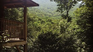A wooden deck with a view of a lush forest and distant mountains.