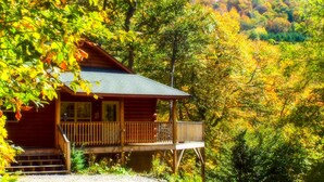 A cabin with a porch, surrounded by autumn foliage.