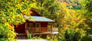 Exterior - Mountain View - Hot Tub - Mountain View Sleeps 6 - Dog / Pet Friendly - (Zionville)