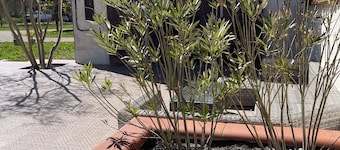 Romantic family villa, big pool, garden and forest. Silence and space. WIFI.