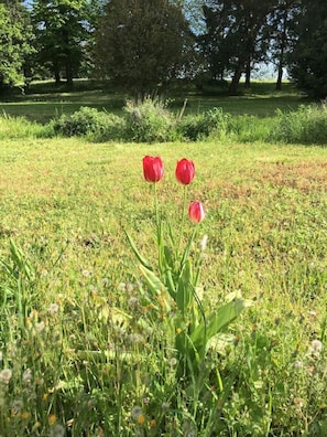 Terrain de l’hébergement