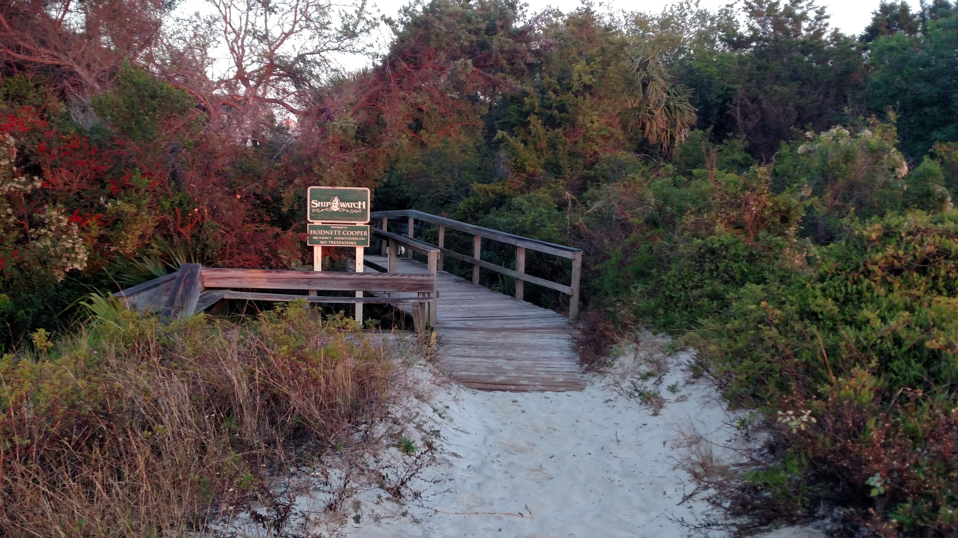 A wooden boardwalk leading to a sign with the name 'Shipwatch' and contact information.