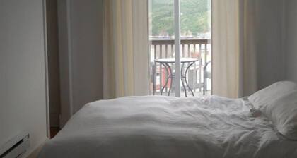 Downtown Executive Best View, Fireplaces, Apartment#3<br>