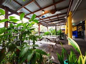 Outdoor dining - YHA Cape Byron (Byron Bay)