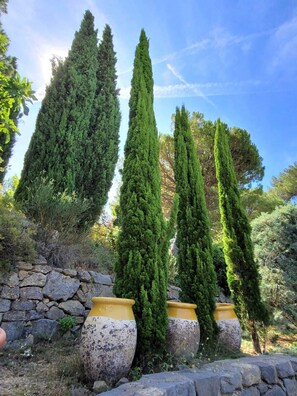 Overnattingsstedets uteområder