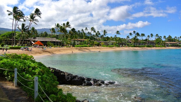 A beach with clear turquoise water, palm trees, and a few buildings in the background. - #1 GUEST FAVORITE for Napili & Kapalua Bays ! (Lahaina)