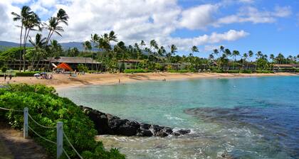 #1 GUEST FAVORITE for Napili & Kapalua Bays !