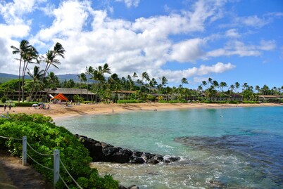 #1 GUEST FAVORITE for Napili & Kapalua Bays !
