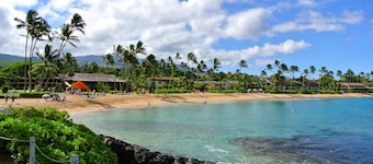 #1 GUEST FAVORITE for Napili & Kapalua Bays !