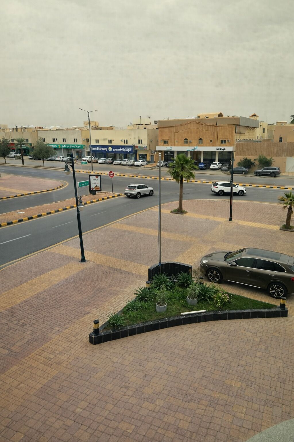 A paved pedestrian area with a palm tree, a car, and a pharmacy.