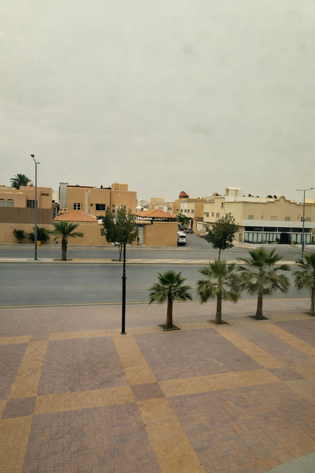 A paved pedestrian area with palm trees, a road, and buildings in the background.