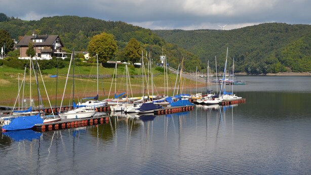 Ein Yachthafen mit mehreren Segelbooten, ein Haus im Hintergrund und ein bewaldeter Hügel.