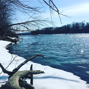 Unclassified image, 5 of 28, button - Quaint seclusion, steps from the backwaters of the Mississippi. (Hager City)