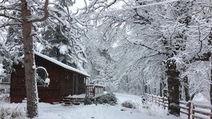 Una cabaña con fachada nevada, rodeada de árboles y una valla de madera.