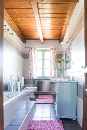 Shower, hair dryer, bidet, towels
