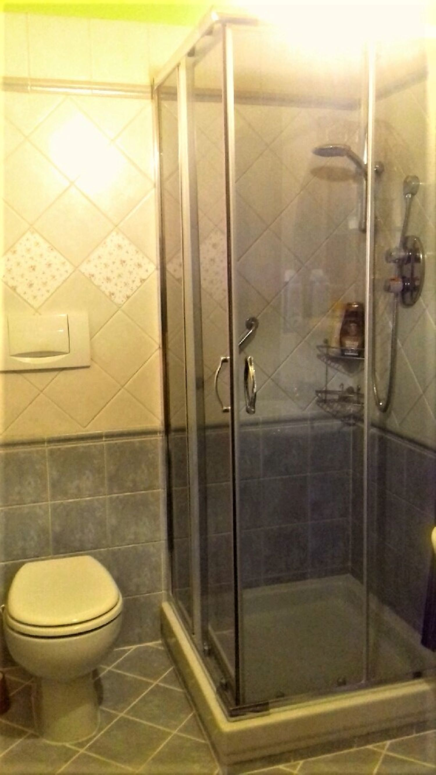 A glass-enclosed shower stall with a toilet to the left.