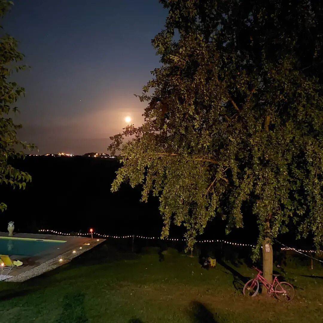 A nighttime outdoor scene with a swimming pool, string lights, and a bicycle.
