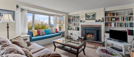 Smart TV, chimenea, reproductor de DVD y libros